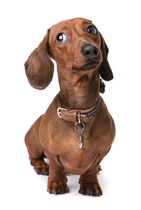 The side-eye look